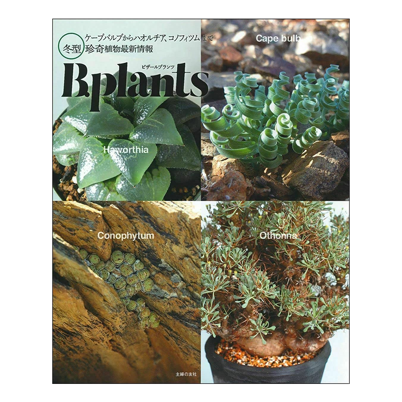 Bplants冬型珍奇植物新情报