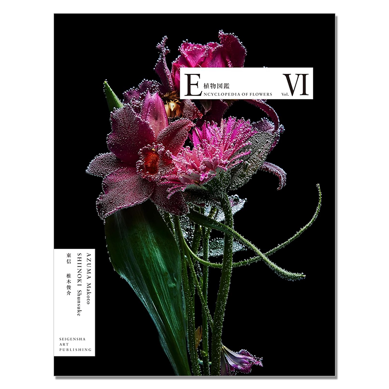 【预售】ENCYCLOPEDIA OF FLOWERS Ⅵ 植物図鑑 植物图鉴 6 花卉生命活动视觉书 東信 椎木俊介 青幻舎