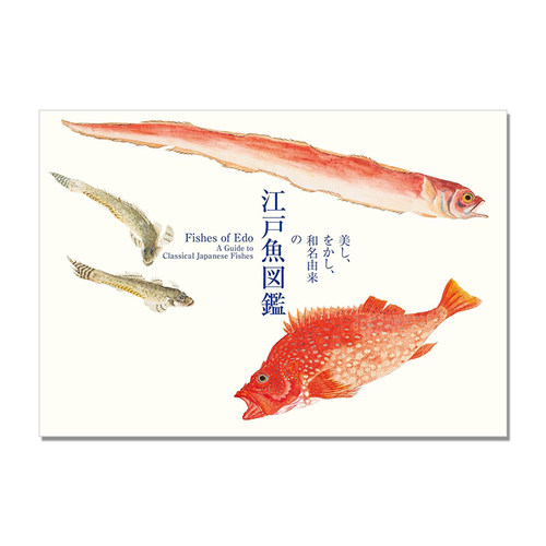 美し、をかし、和名由来の江戸魚図鑑 江户鱼图鉴画集 PIE 写生图谱