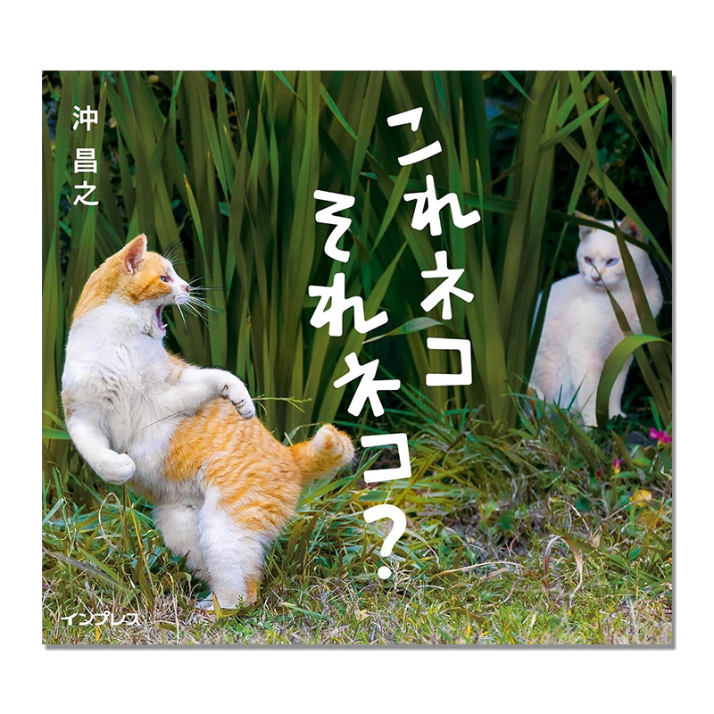 日本猫咪摄影师 沖昌之作品 猫咪写真集 これネコ それネコ？Masayuki Oki