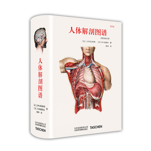 包邮人体解剖图谱手绘手稿艺术