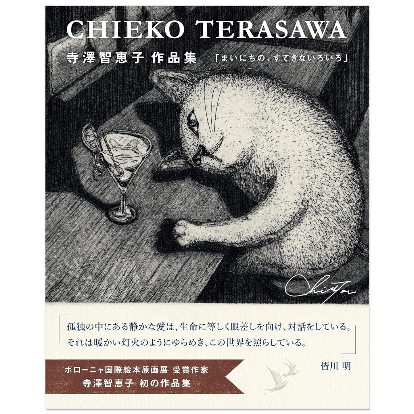 预售 插画师寺泽智惠子首本作品集 寺澤智恵子作品集 まいにちの、すてきないろいろ Chieko Terasawa 黑白素描版画