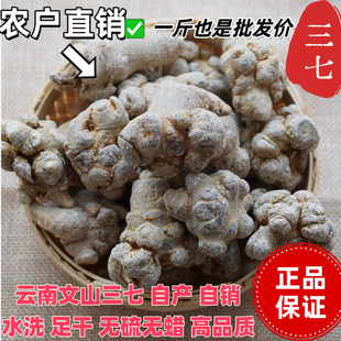 正宗云南文山特产春三七无剪口田七20头30头40头花茶可代打粉 包邮