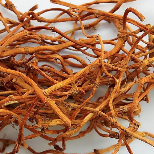 鱼腥草干根 泡水 野生农家自晒凉茶包邮一份半斤