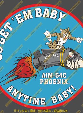 F-14 TOMCAT AIM-54 VF-11个性新款防水车贴笔记本帖行李箱贴