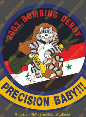 F-14 PERCISION BABY个性大号防水笔记本贴车贴行李箱贴潮贴