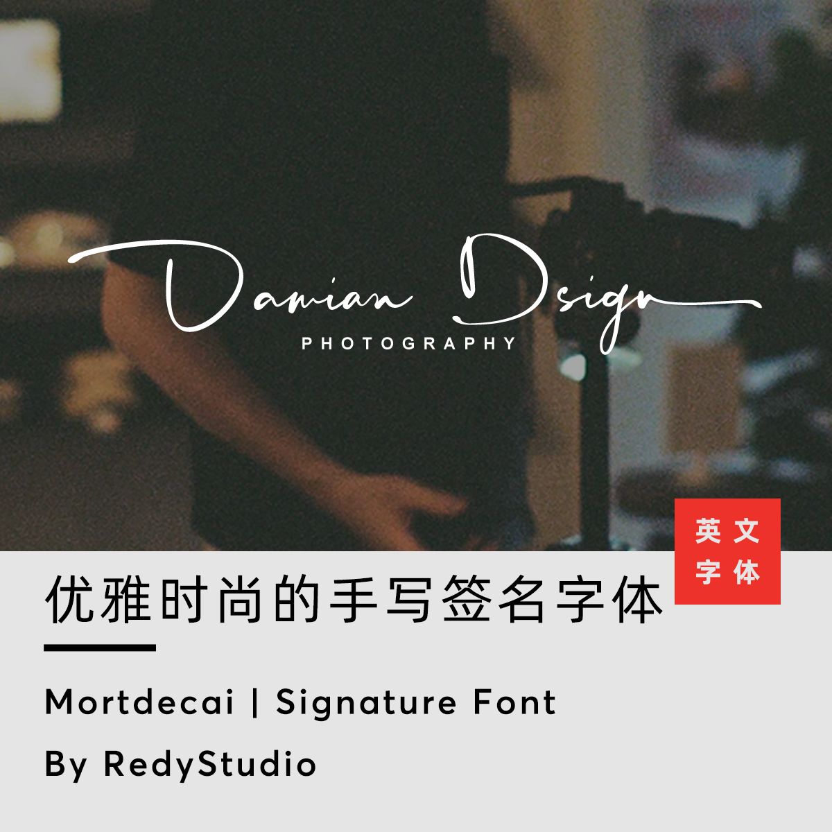 mortdecai 优雅时尚摄影师品牌logo水印连笔花体手写签名英文字体