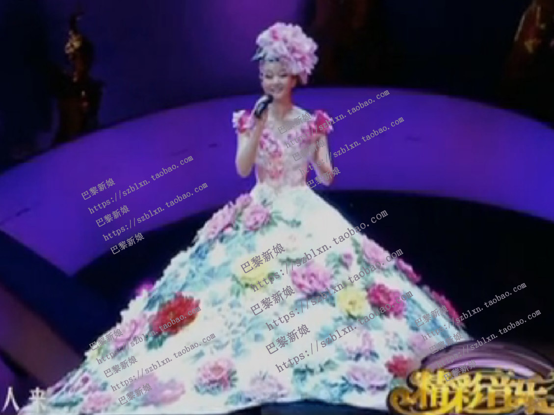 2026新款 透明 V领立体牡丹花绣花蓬蓬裙歌唱比赛音乐会演出礼服