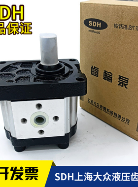 SDH上海大众液压泵齿轮泵CBTt-F304 306 310 314 316 320 325F3P7