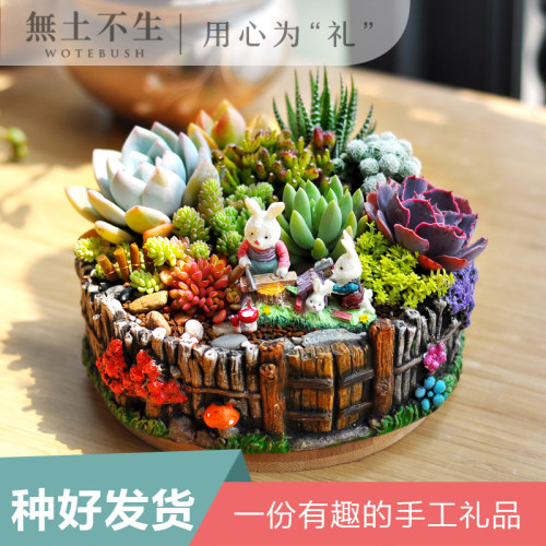 看一眼便喜欢的桌面手工盆栽