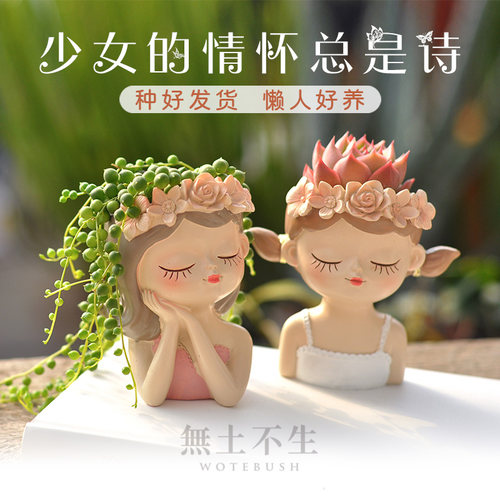 情绪稳定工位治愈小盆栽