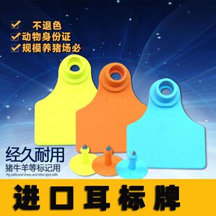 进口耳标牌母猪耳标号牌 猪耳号牌猪牛耳标号牌带字猪耳标