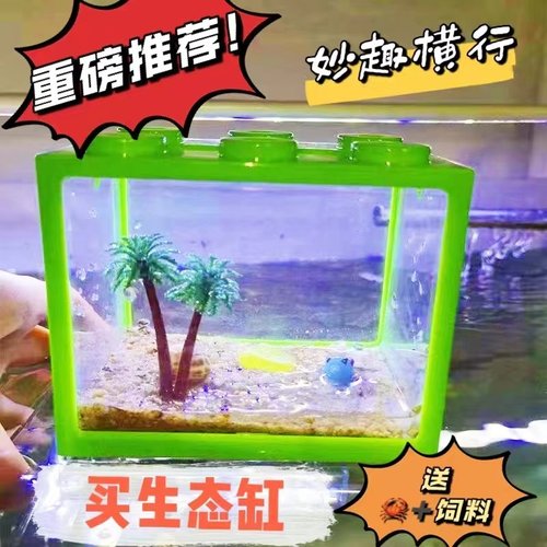 辣椒蟹水族小螃蟹套餐水族活体