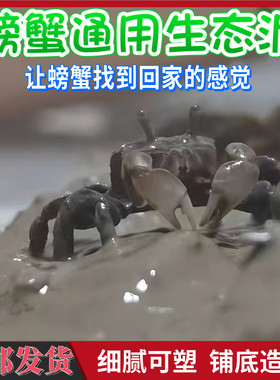 小螃蟹铺底生态泥巴打洞用品造景