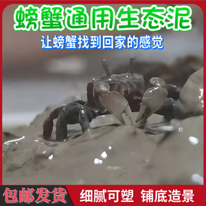 小螃蟹铺底生态泥巴打洞用品造景
