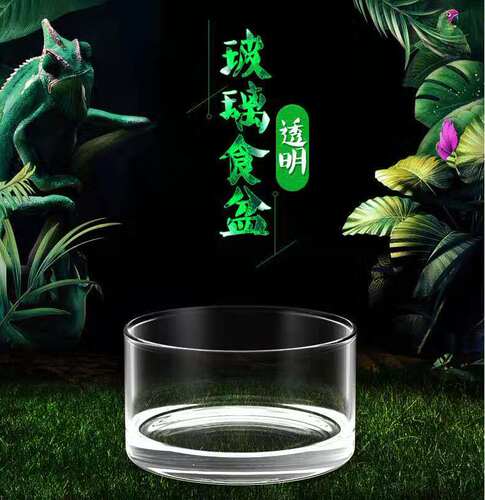 食盆水盆爬虫爬宠食盆水盆玻璃盆食盆水盆豹纹守宫小型蜥蜴爬宠用