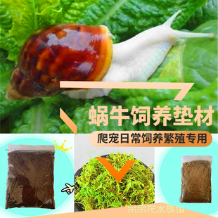 蜗牛营养土椰土钙沙苔藓蜗牛饲养繁殖垫材用品大全细沙冬眠套餐