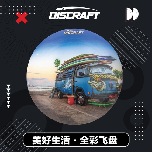 专业认证比赛团体成人户外飞盘