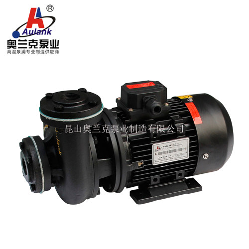 奥兰克耐高温油泵热油循环泵高温管道泵 RGP-40-120 RGP-40-180