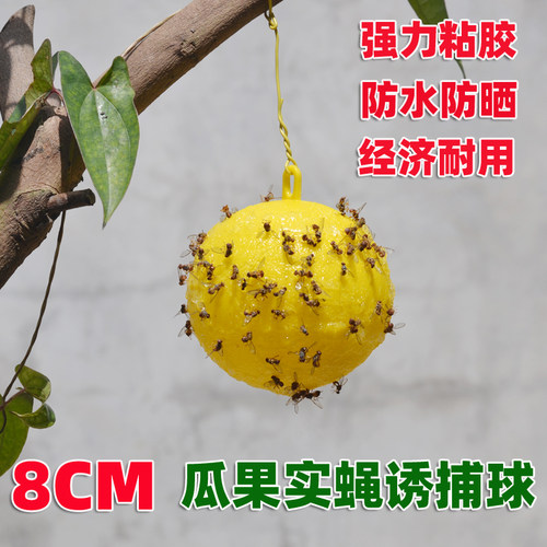 果园诱捕球防晒防水简单易用