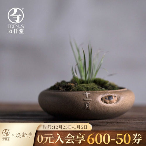 万仟堂陶瓷迷你日式小花插