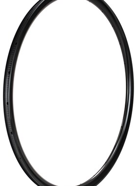 法国 DUKE WORLD RUNNER CARBON 27 R (GRAVEL车圈）