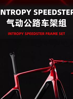 INCOLOR INTROPY 翎骐 SPEEDSTER 气动公路车车架组