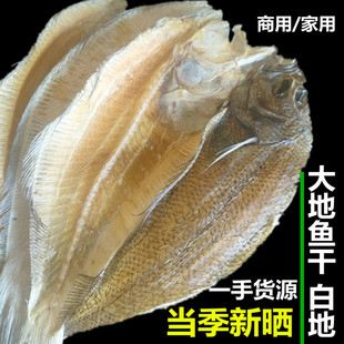 广东潮汕正宗汕尾翅铺鱼干比目鱼干扁品鱼砂锅粥云吞汤料大地鱼干