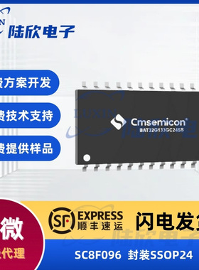 中微SC8F096封装ssop24芯片8位RISC单片机mcu方案开发设计烧录