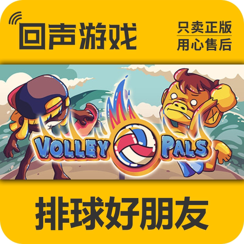 Steam正版排球好朋友激活码