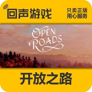 Steam 开放之路 激活码 Roads cdkey 国区 Open 激活入库 正版