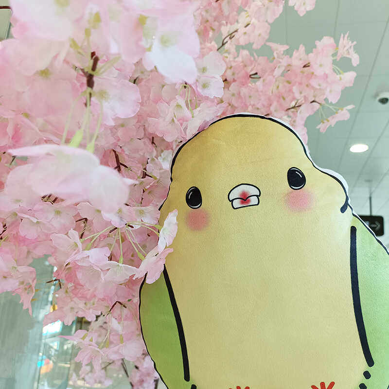 玄凤鹦鹉可爱毛绒抱枕公仔创意小鸟玩具彩色鸟儿玩偶创意礼物