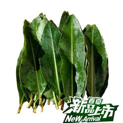 【100张】降价了 砂仁香叶猪儿粑糕叶粽叶铺垫 卤料调料火锅底料