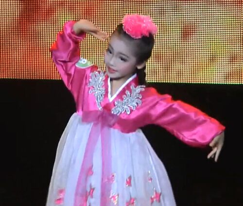 舞台演出服饰民族舞服装小小长今儿童朝鲜舞蹈服装
