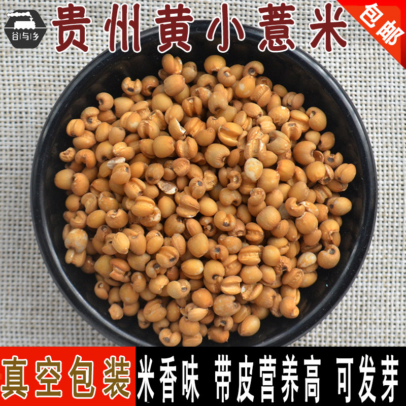 贵州黄薏米小黄薏仁米 糙薏苡米带皮薏米煮粥十谷米材料 真空500g