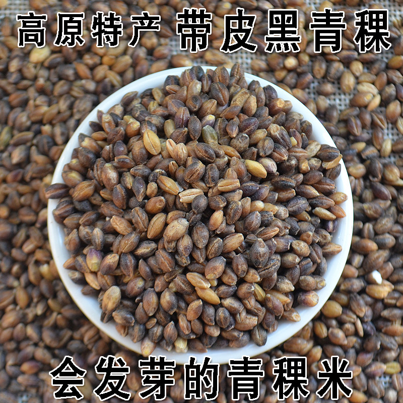 高原特产黑青稞米 带皮黑青稞仁 可发芽 五谷物粗粮 500g 5斤包邮