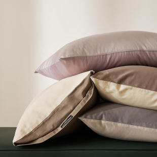 高端全棉枕头套枕芯套48x74cm一对2只装 新款 100s长绒棉贡缎枕套