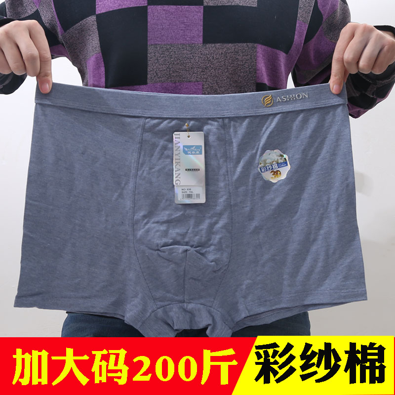 男士加大码彩纱棉胖子平角裤