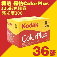 2025 года, 12 мес., 36