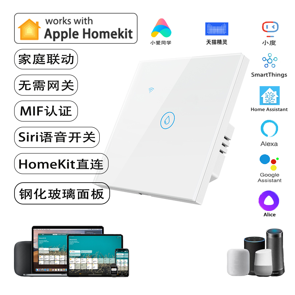 HomeKit开关大功率siri语音WiFi远程定时20A 40A热水器冷气机苹果 电子/电工 智能开关 原图主图