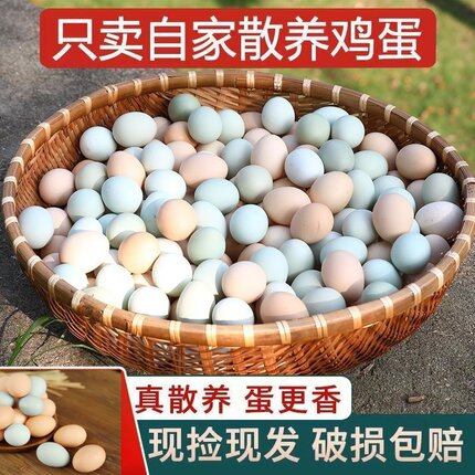 【32g-43g/枚】农家山林散养新鲜鸡蛋绿壳乌鸡蛋土谷物喂养6-40枚