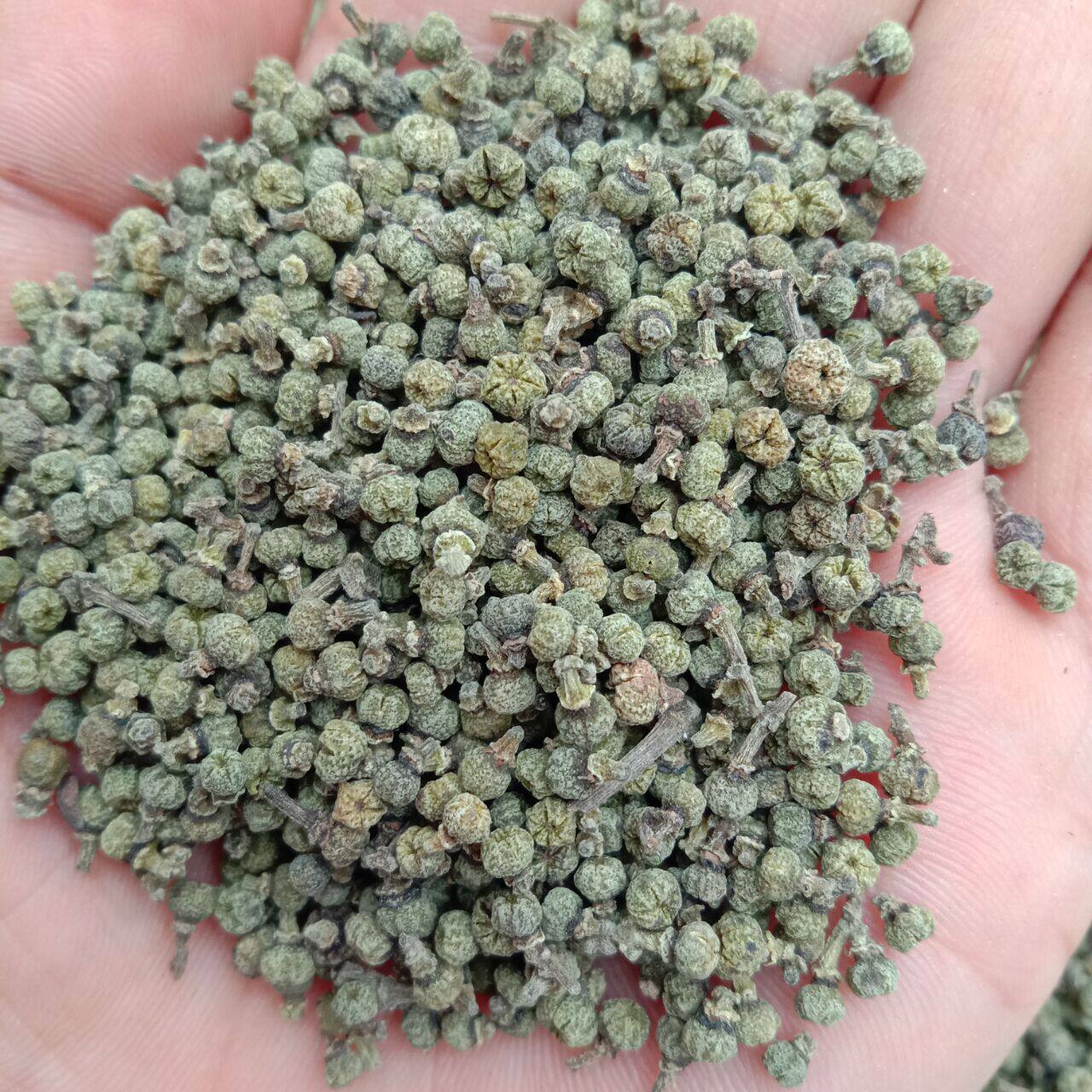 中花吴茱萸中药材吴茱萸粉足贴吴茱萸汤500克吴萸正品吴芋可磨粉