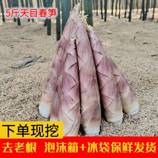 春笋新鲜现挖临安天目山雷笋竹笋鲜笋自然笋农家蔬菜