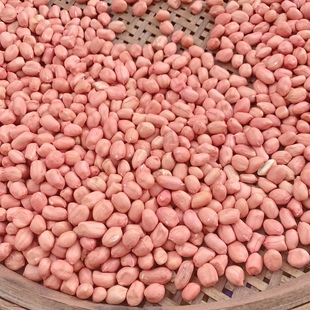 北仔家福建土特产福清东张农家白晒花生仁500克手工现剥 生花生米