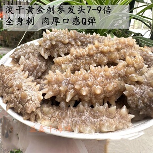 淡干北海黄金刺参白刺参刺黄参北海海参干货500克 发量大肉质Q弹