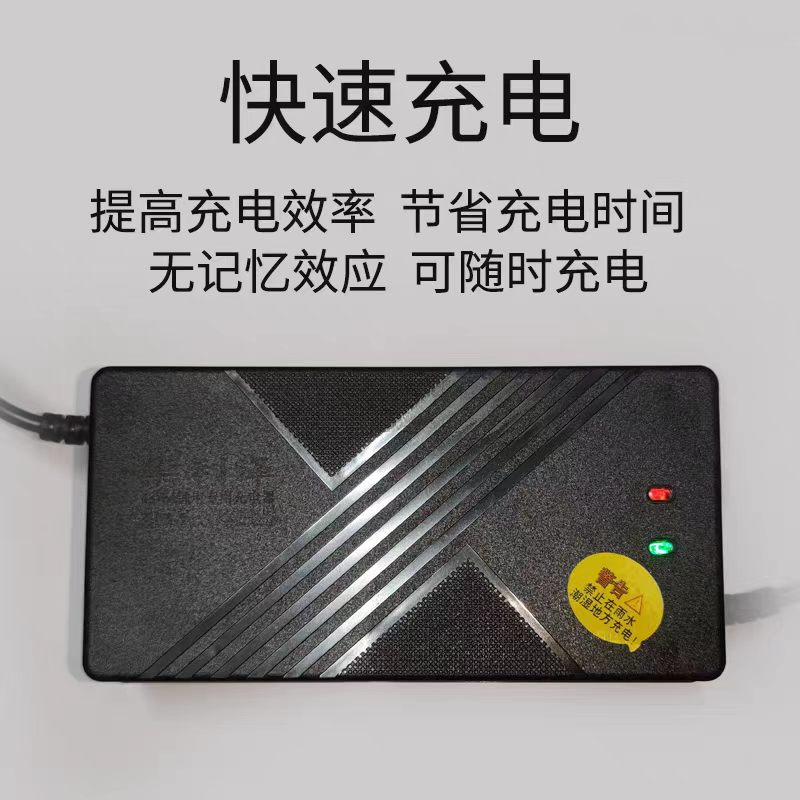 代驾折叠车充电器通用型