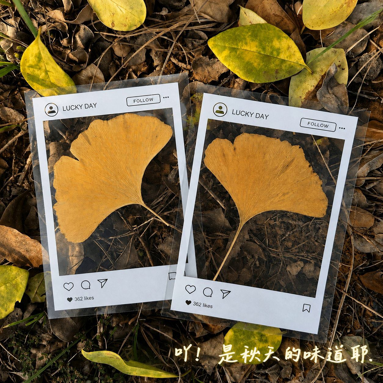 秋天收集落叶塑封膜书签DIY