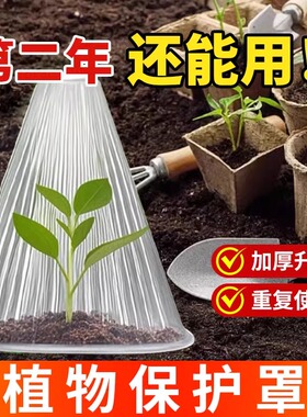蔬菜植物罩瓜苗菜苗幼苗育苗秧苗大棚育苗保温防虫防鸟防霜保护罩