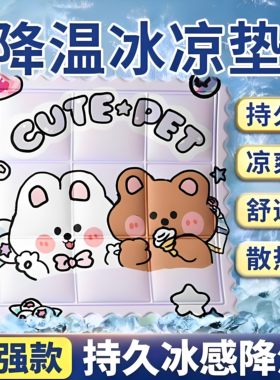夏季凝胶免注水冰垫降温神器