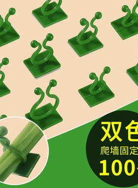绿萝爬墙固定器绿植攀爬绿植爬墙